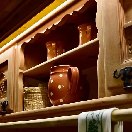 Chalet Chesa Orlegna *